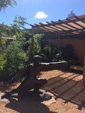 Avian Artistry in a Serene Garden