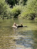 Relaxing on a Raft in Felton