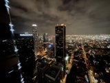 Los Angeles Nightscape from the Top of the Tower