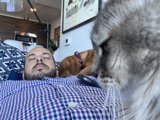 Catnap with Feline Company