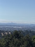 Oakland Horizons