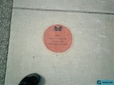 Stepping on History