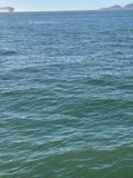 Catching Waves in San Francisco