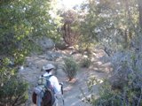 A Hiker in the Wild