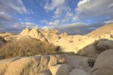Desert Dreamland