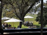 Outdoor Dining at Scribe