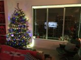 A City View and a Festive Tree