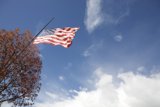 Proudly Waving