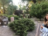 Reflections on Art and Nature