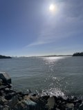 The Serene Bay View from Shoreline Park