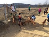 Group Hike with Loyal Companions