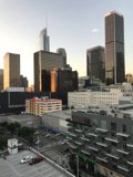 Overlooking the Urban Metropolis
