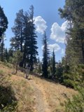Into the Wilderness
