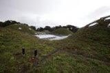 The Evolving Landscape: A View of the New Museum of Natural History's Green Roof