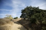 Gravel Path Through the Wilderness