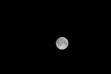 The Full Moon in the Night Sky