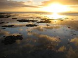 A Glowing Sunset Over the Ocean