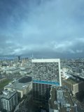 The Urban Jungle from Above