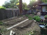 Serene Backyard Garden