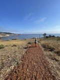Man and his Dog Take in the Scenery on a Coastal Path