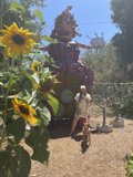 A Woman and Her Dog Bask in the Glory of a Giant Sunflower