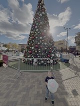 Child with Cotton Candy at Christmas Tree