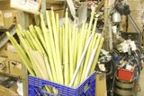 Green Sticks in Blue Basket