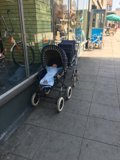 Baby on Wheels