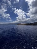 Majestic View of the Ocean