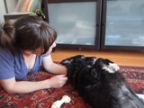 Woman and Dog Share a Tender Moment Indoors