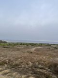 Serene Vista