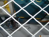 Wired Perimeter