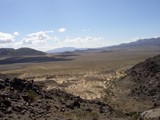 Desert Serenity