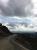 Lonely Dog Walks the Dusty Road