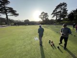 Bowling in the Park