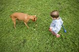 Furry Friends at Play: Wesley's 5th Birthday Bash