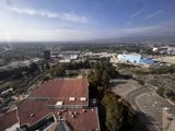 Overlooking the Urban Jungle