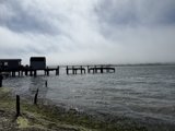 Tranquil Tides at Bodega Bay