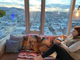 City Living with Doggy Love