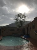 Backyard Oasis