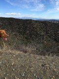 Distant City View Hike