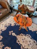 Dressed to Impress