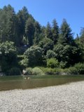 Kayaking through the lush wilderness of Klamath River