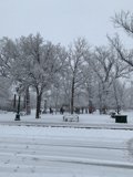 Winter Wonderland in the Park