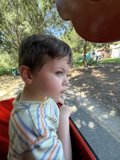 Daydreams in the Park