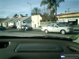 Driving through the Palms