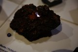 The Curious Culinary Artifact