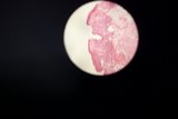 Pink and White Stained Sphere
