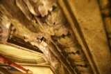 Cryptic Ceiling of the Wilshire Temple