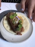 Taco Delight